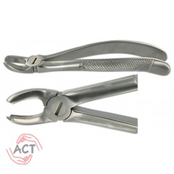 ACT-02-2407